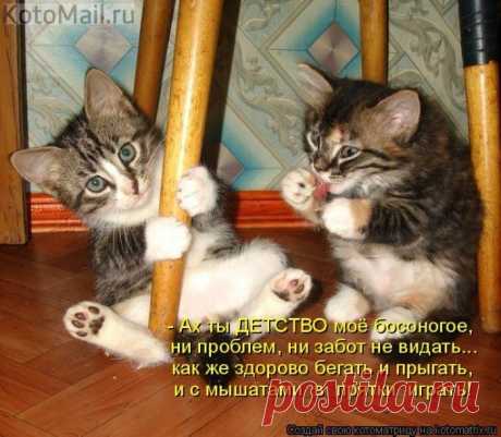 Беззаботное детство