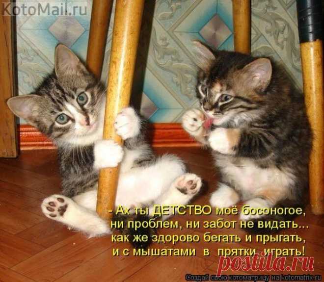 Беззаботное детство