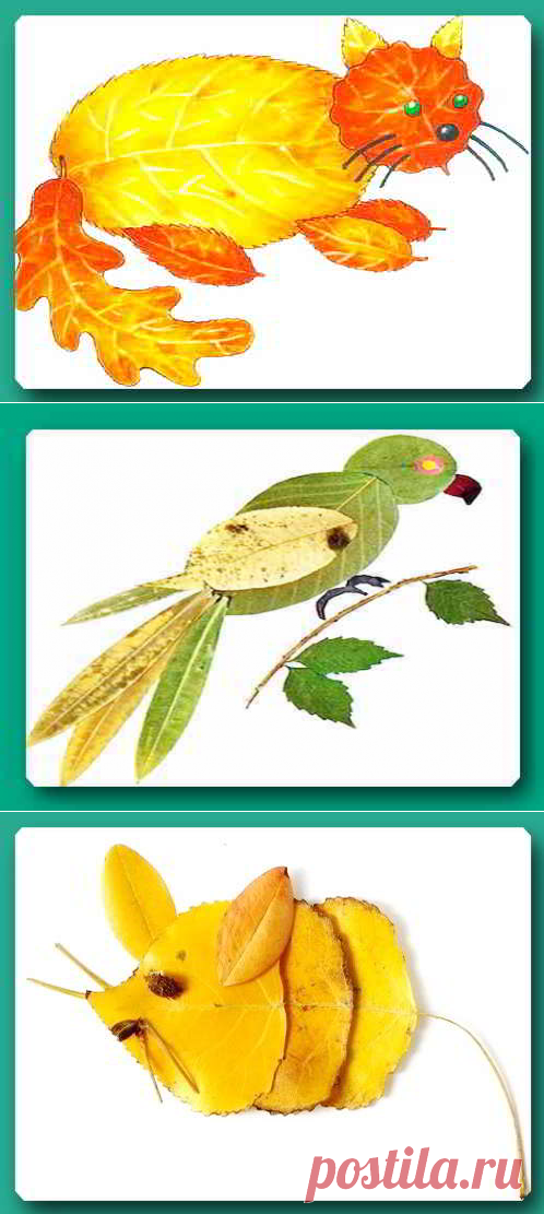 Опавшие листья. Творческое применение опавших листьев в саду. Уход за садом осенью.