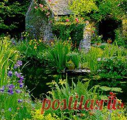 Полезные советы садоводам