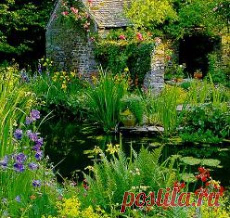 Полезные советы садоводам