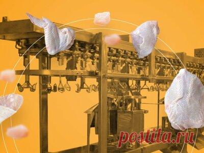 мк по приготовлению мясных стожков: 3 тыс. видео найдено в Яндекс.Видео