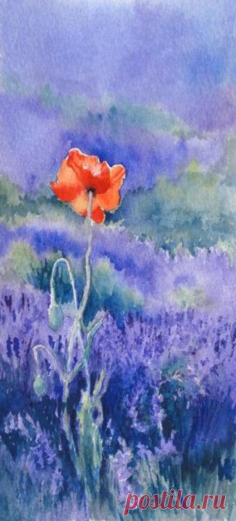 Poppy in the Lavender original watercolour