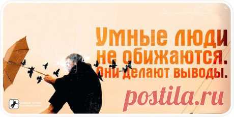 Без заголовка.