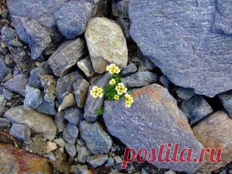 Инструменты радикального прощения.... 
Что такое Радикальное прощение? И чем оно может быть полезно?
Ответить на эти вопросы будет доступнее, если рассмотреть его инструменты, т. е. как это работает и как это можно использовать в нашей по…