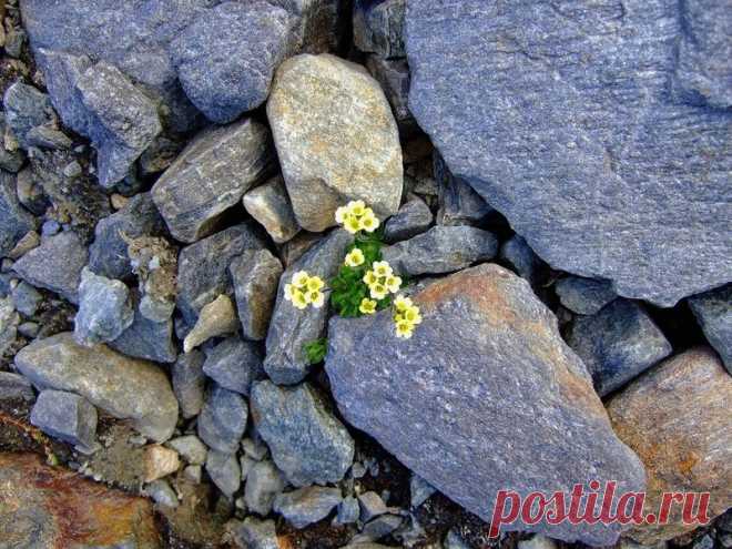 Инструменты радикального прощения.... 
Что такое Радикальное прощение? И чем оно может быть полезно?
Ответить на эти вопросы будет доступнее, если рассмотреть его инструменты, т. е. как это работает и как это можно использовать в нашей по…