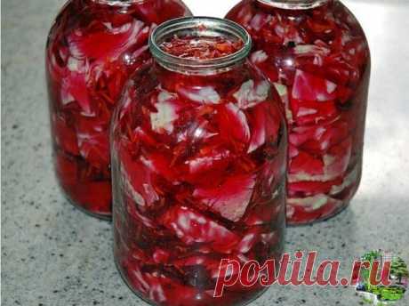 Маринованная капуста по-гурийски на зиму

Ингредиенты на 8 порций: 
1 кочан капусты весом примерно 2 кг 
1 большая или 2 маленькие свеклы 
2 средние морковки 
1 головка чеснока 

Для маринада: 
200 мл яблочного уксуса 
200 мл оливкового (растительного) масла 
по 3 горошины черного и душистого перца 
половина стручка острого зеленого перца 
3 бутона гвоздики 
2 лавровых листа 
200 г сахара 
2 ст. л. соли 

Приготовление (2 ч 30 мин): 

1. Разрежьте кочан капусты пополам, уд...