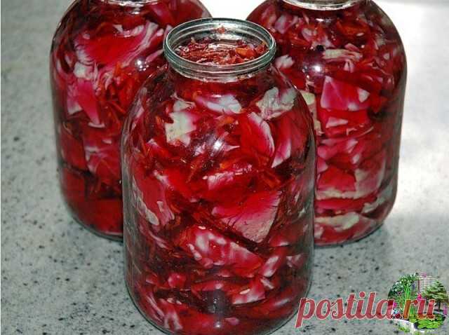 Маринованная капуста по-гурийски на зиму

Ингредиенты на 8 порций: 
1 кочан капусты весом примерно 2 кг 
1 большая или 2 маленькие свеклы 
2 средние морковки 
1 головка чеснока 

Для маринада: 
200 мл яблочного уксуса 
200 мл оливкового (растительного) масла 
по 3 горошины черного и душистого перца 
половина стручка острого зеленого перца 
3 бутона гвоздики 
2 лавровых листа 
200 г сахара 
2 ст. л. соли 

Приготовление (2 ч 30 мин): 

1. Разрежьте кочан капусты пополам, уд...