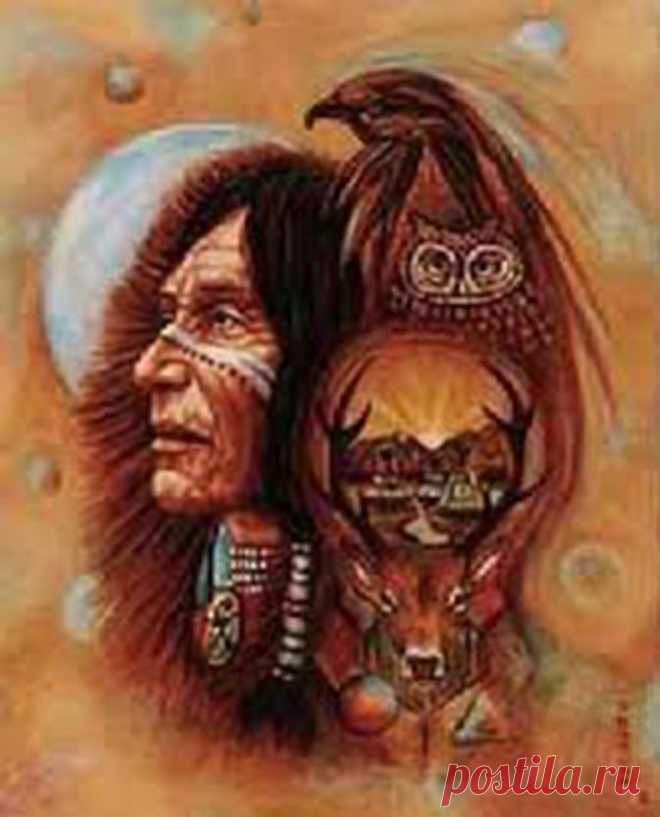 Shaman-image1.jpg (673×833)