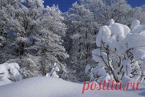 10 неожиданных способов использовать лютый мороз или обычную морозилку | Сама по себе