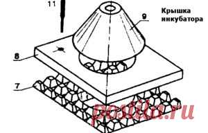 Самодельный инкубатор из картонной коробки. - Домоводство