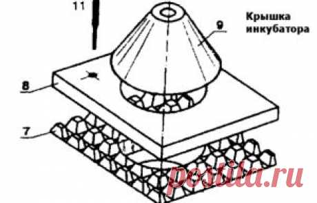 Самодельный инкубатор из картонной коробки. - Домоводство