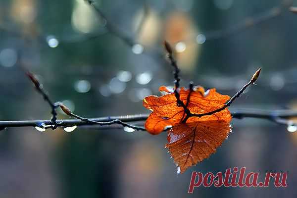 Мой Мир@Mail.Ru