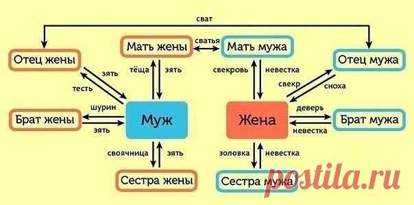 (54) Одноклассники