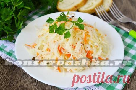 Капуста маринованная с морковью быстрого приготовления, рецепт с фото