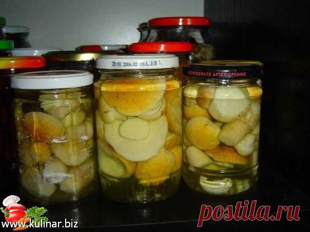 Маринуем белые грибы • Кулинарный форум