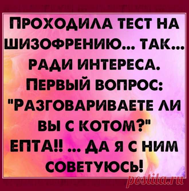 Случайно в руки попал телефон супруги. Полюбопытствовал в телефонной книге. Смотрю: 