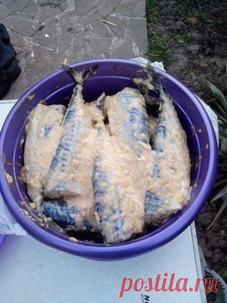 Скумбрия на мангале 

Ингредиенты: 
-свежемороженая скумбрия, 
-майонез, горчица, кетчуп, 
-чеснок, 
-лук, 
-специи для рыбы, соль, перец, 
-растительное масло. 

Приготовление: 
Скумбрию разморозить. Сделать соус из майонеза, горчицы, кетчупа, растительного масла, специй и соли. Туда же добавить измельчённый чеснок и натертый на крупной терке лук. Всё хорошо перемешать и намазать скумбрию. Сложить в чашку и оставить на 3-5 часов мариноваться. Готовить на мангале. Готовитс...