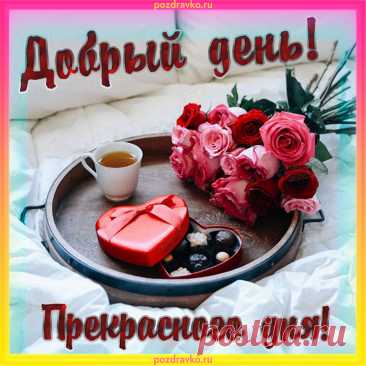 Бесплатные открытки с пожеланием доброго дня
Где найти бесплатные открытки

Популярные ресурсы:

— обширная коллекция современных открыток

otkrytki.top — разнообразные дизайны на любой вкус

— тематические подборки открыток