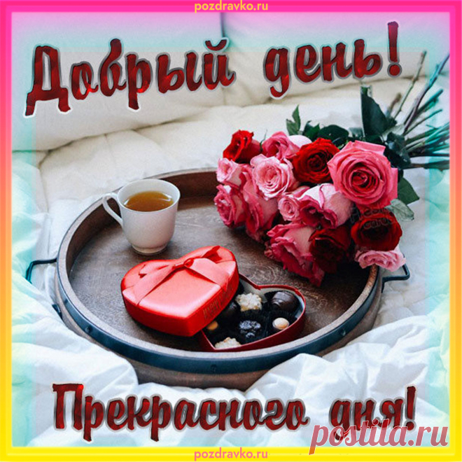 Бесплатные открытки с пожеланием доброго дня
Где найти бесплатные открытки

Популярные ресурсы:

— обширная коллекция современных открыток

otkrytki.top — разнообразные дизайны на любой вкус

— тематические подборки открыток