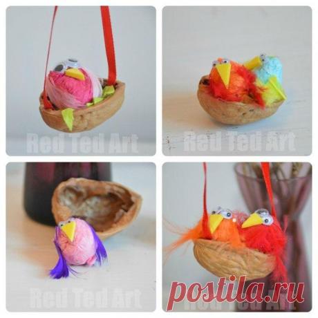 Орех съем, а скорлупу соберу в пакет, чтобы создать настоящее чудо — В Курсе Жизни