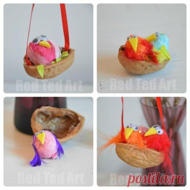 Орех съем, а скорлупу соберу в пакет, чтобы создать настоящее чудо — В Курсе Жизни