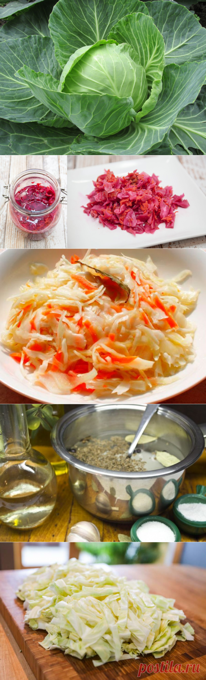 Маринованная Капуста на Зиму - 13 Очень Вкусных Рецептов (Фото)