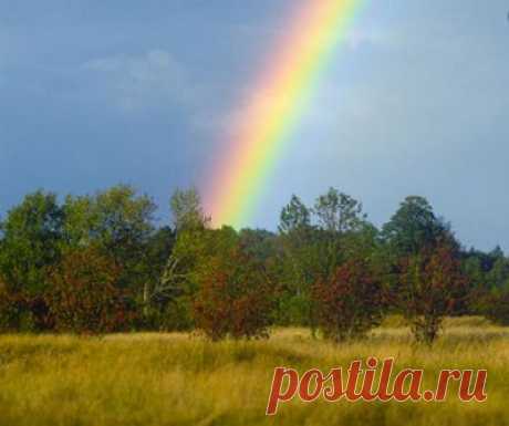 Лесные радости | Жить в радости