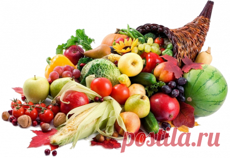 Дневник Надежда7162