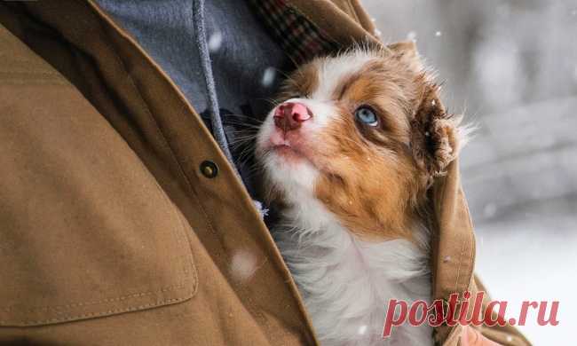 Единственное существо на земле...