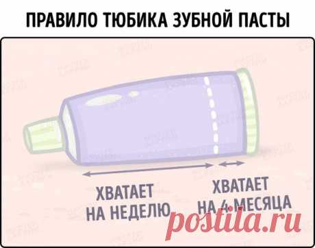 10 неизменных домашних правил