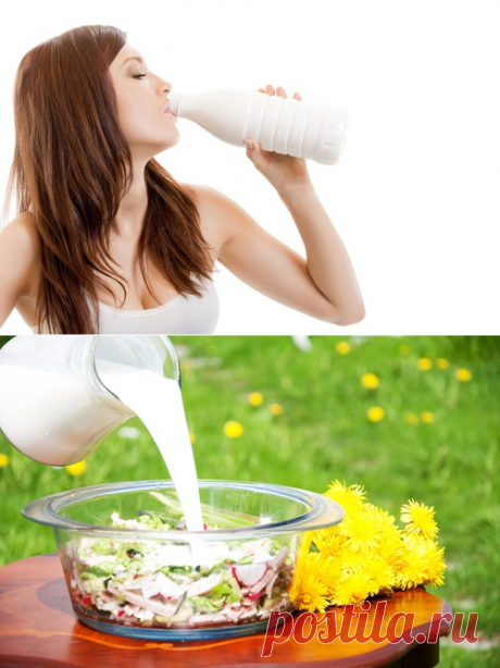Десять важных фактов о кефире: Здоровое питание - diets.ru