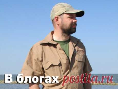 ЖЖ Kungurov: "А мой папа в тюрьме!" - 2 Октября 2016 - Russia-Asia-Siberia