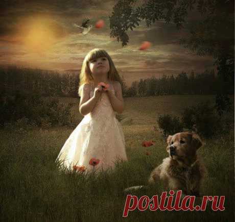 Мои закладки