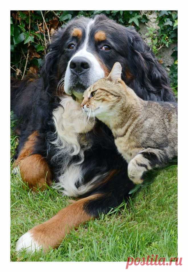 Мой Мир@Mail.Ru