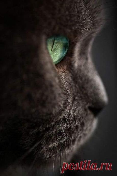 (