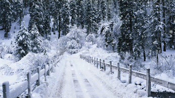 Yalcin Biricik – Google+