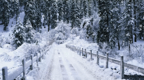 Yalcin Biricik – Google+