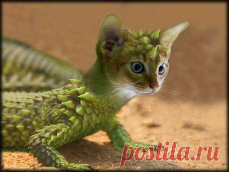 Stachelmiezenechse oder so - Image &amp; Photo by Fotobibi from 41 - FantasTierisches - Photography (21917501) | fotocommunity