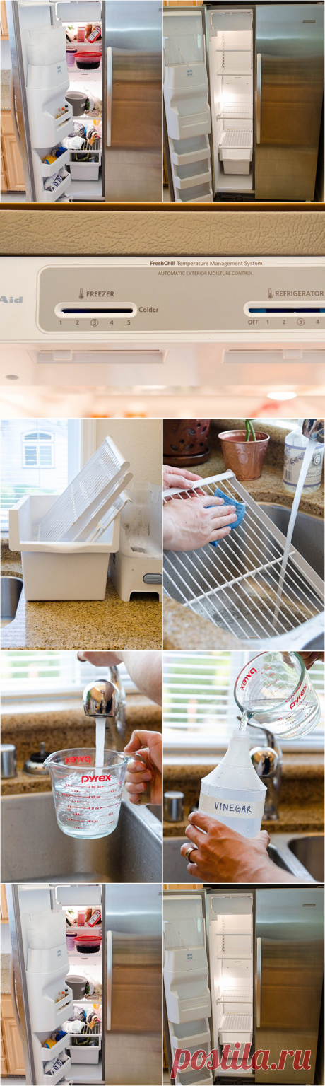 А холодильник чистят вот так… — Мой дом