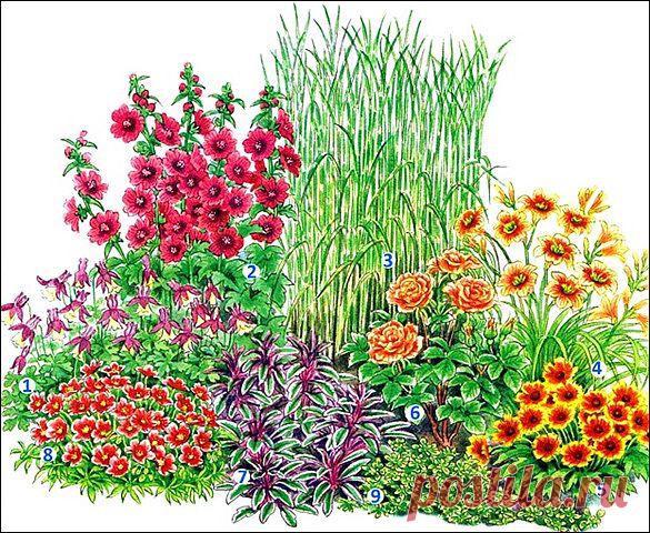 Красивые клумбы из многолетних цветов ..