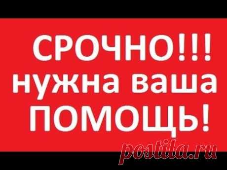 Экстренный выпуск. Нас арестовывают.