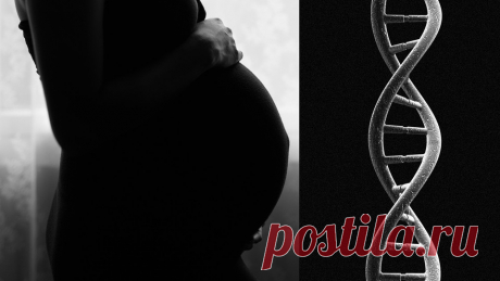 The Most Mysterious Cells in Our Bodies Don’t Belong to Us - The Atlantic