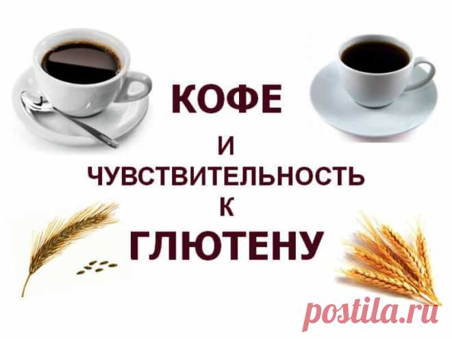 Жизнь человека и его здоровье | Связь между кофе и чувствительностью к глютену. - Жизнь человека и его здоровье