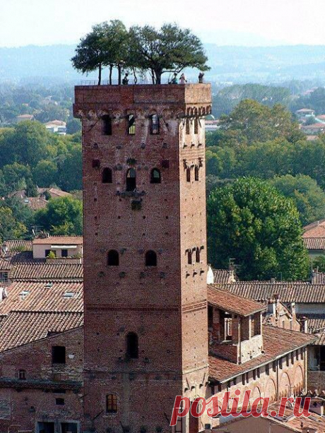 Lucca. Italy