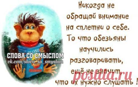 Интересные новости