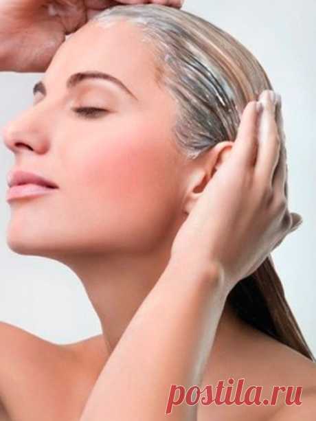 Увлажняющая маска для волос с оливковым маслом: профессиональная, питательная, лучшая, видео-инструкция как приготовить супер смесь для сухих, окрашенных локонов своими руками в домашних условиях, фото и цена