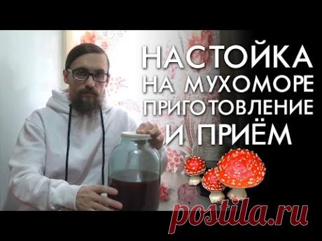 НАСТОЙКА НА МУХОМОРЕ / ПРИГОТОВЛЕНИЕ И ПРИЕМ / ЛЕЧЕБНОЕ МИКРОДОЗИРОВАНИЕ
