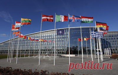 FT: США, ФРГ и Венгрия выступают против создания дорожной карты вступления Украины в НАТО. По данным источников газеты , Вашингтон предлагает союзникам пока сосредоточиться на оказании Киеву военной, финансовой и гуманитарной помощи
