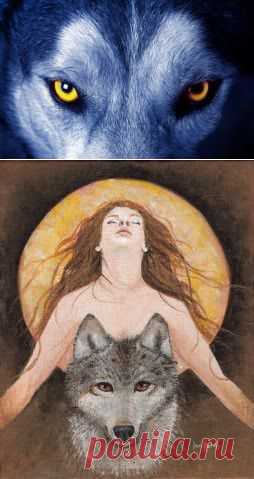 Лучшие цитаты из книги К. П. Эстес «Бегущая с волками. Женский архетип в мифах и сказаниях» |